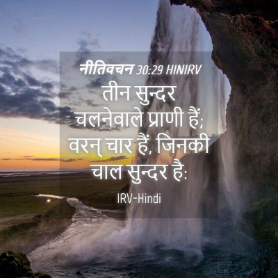 Picture 04 - नीतिवचन 30:29 HINIRV - तीन सुन्दर - Bible Verse Picture