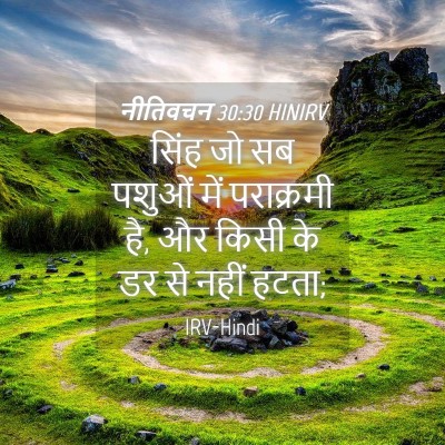 Picture 04 - नीतिवचन 30:30 HINIRV - सिंह जो सब पशुओं - Bible Verse Picture