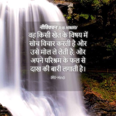 Picture 04 - नीतिवचन 31:16 HINIRV - वह किसी खेत के विषय - Bible Verse Picture