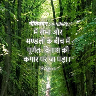 Picture 04 - नीतिवचन 5:14 HINIRV - मैं सभा और मण्डली - Bible Verse Picture