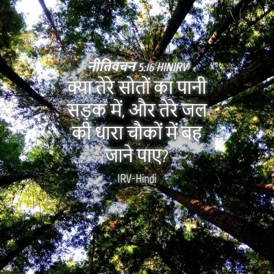 Picture 04 - नीतिवचन 5:16 HINIRV - क्या तेरे सोतों का - Bible Verse Picture