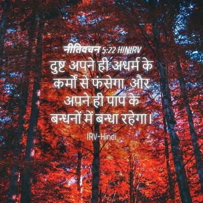 Picture 04 - नीतिवचन 5:22 HINIRV - दुष्ट अपने ही - Bible Verse Picture