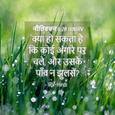 Picture 04 - नीतिवचन 6:28 HINIRV - क्या हो सकता है कि - Bible Verse Picture