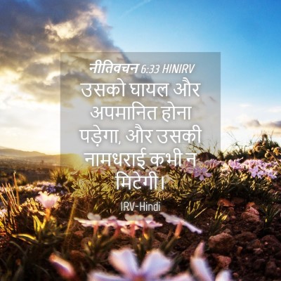 Picture 04 - नीतिवचन 6:33 HINIRV - उसको घायल और - Bible Verse Picture