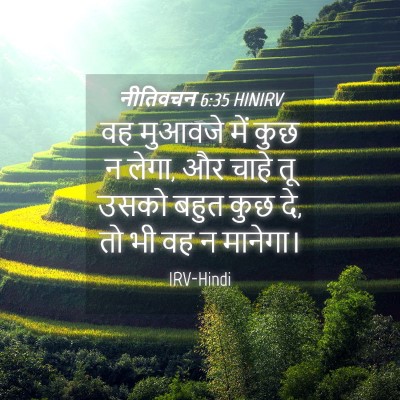 Picture 04 - नीतिवचन 6:35 HINIRV - वह मुआवजे में कुछ न - Bible Verse Picture