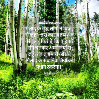 Picture 04 - न्यायियों 11:8 HINIRV - गिलाद के वृद्ध - Bible Verse Picture