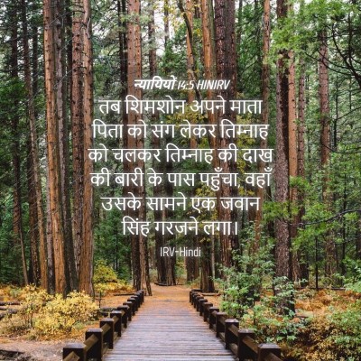 Picture 04 - न्यायियों 14:5 HINIRV - तब शिमशोन अपने - Bible Verse Picture