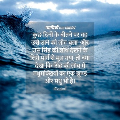 Picture 04 - न्यायियों 14:8 HINIRV - कुछ दिनों के बीतने - Bible Verse Picture