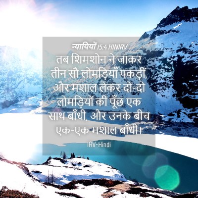 Picture 04 - न्यायियों 15:4 HINIRV - तब शिमशोन ने जाकर - Bible Verse Picture