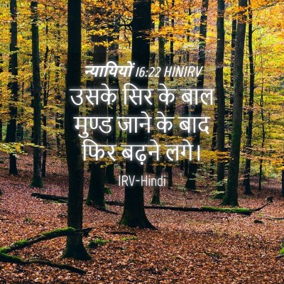 Picture 04 - न्यायियों 16:22 HINIRV - उसके सिर के बाल - Bible Verse Picture