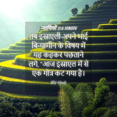 Picture 04 - न्यायियों 21:6 HINIRV - तब इस्राएली अपने - Bible Verse Picture