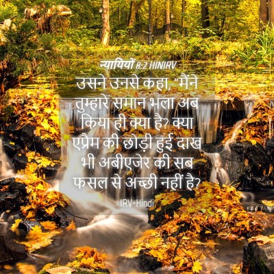 Picture 04 - न्यायियों 8:2 HINIRV - उसने उनसे कहा, - Bible Verse Picture