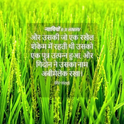 Picture 04 - न्यायियों 8:31 HINIRV - और उसकी जो एक रखैल - Bible Verse Picture