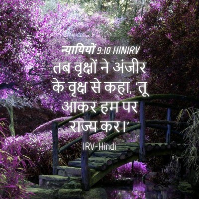 Picture 04 - न्यायियों 9:10 HINIRV - तब वृक्षों ने - Bible Verse Picture
