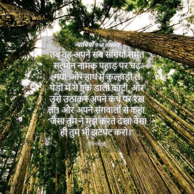 Picture 04 - न्यायियों 9:48 HINIRV - तब वह अपने सब - Bible Verse Picture