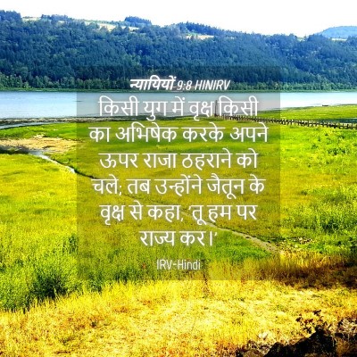 Picture 04 - न्यायियों 9:8 HINIRV - किसी युग में वृक्ष - Bible Verse Picture
