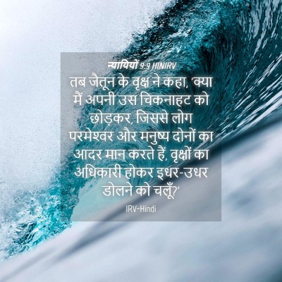 Picture 04 - न्यायियों 9:9 HINIRV - तब जैतून के वृक्ष - Bible Verse Picture