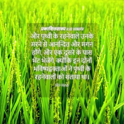 Picture 04 - प्रकाशितवाक्य 11:10 HINIRV - और पृथ्वी के - Bible Verse Picture