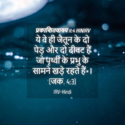 Picture 04 - प्रकाशितवाक्य 11:4 HINIRV - ये वे ही जैतून के - Bible Verse Picture