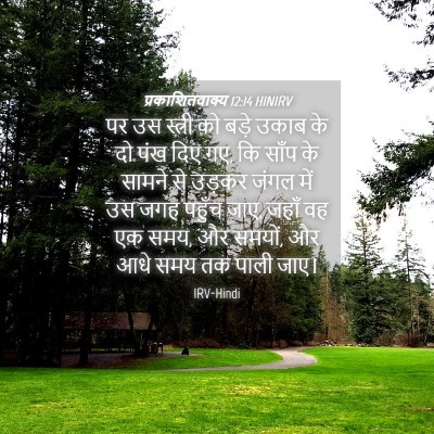Picture 04 - प्रकाशितवाक्य 12:14 HINIRV - पर उस स्त्री को - Bible Verse Picture