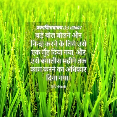 Picture 04 - प्रकाशितवाक्य 13:5 HINIRV - बड़े बोल बोलने और - Bible Verse Picture