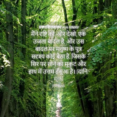 Picture 04 - प्रकाशितवाक्य 14:14 HINIRV - मैंने दृष्टि की, और - Bible Verse Picture