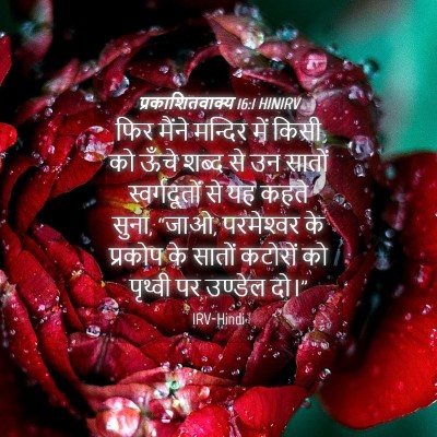 Picture 04 - प्रकाशितवाक्य 16:1 HINIRV - फिर मैंने मन्दिर - Bible Verse Picture