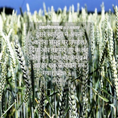 Picture 04 - प्रकाशितवाक्य 16:3 HINIRV - दूसरे स्वर्गदूत - Bible Verse Picture
