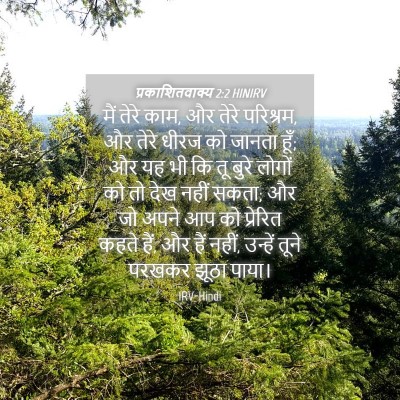 Picture 04 - प्रकाशितवाक्य 2:2 HINIRV - मैं तेरे काम, और - Bible Verse Picture