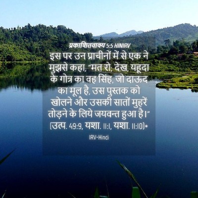 Picture 04 - प्रकाशितवाक्य 5:5 HINIRV - इस पर उन प्राचीनों - Bible Verse Picture