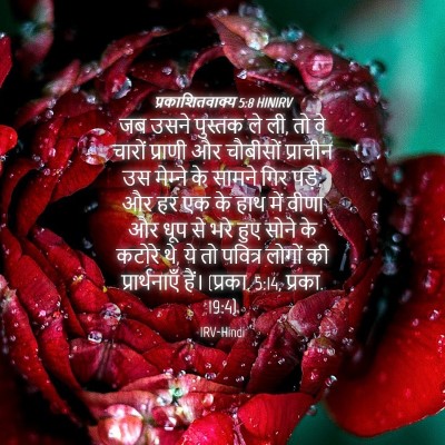 Picture 04 - प्रकाशितवाक्य 5:8 HINIRV - जब उसने पुस्तक ले - Bible Verse Picture