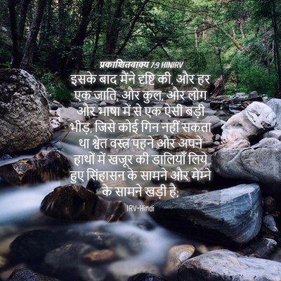 Picture 04 - प्रकाशितवाक्य 7:9 HINIRV - इसके बाद मैंने - Bible Verse Picture
