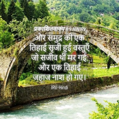 Picture 04 - प्रकाशितवाक्य 8:9 HINIRV - और समुद्र की एक - Bible Verse Picture