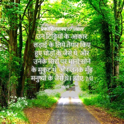 Picture 04 - प्रकाशितवाक्य 9:7 HINIRV - उन टिड्डियों के - Bible Verse Picture