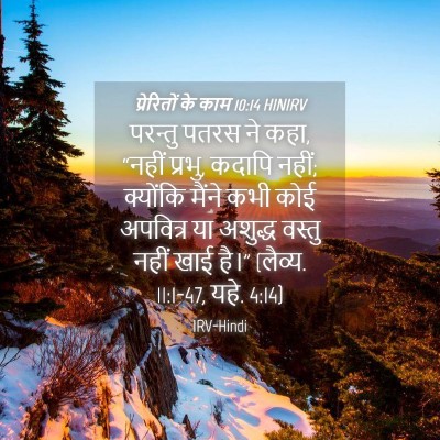 Picture 04 - प्रेरितों के काम 10:14 HINIRV - परन्तु पतरस ने कहा, - Bible Verse Picture