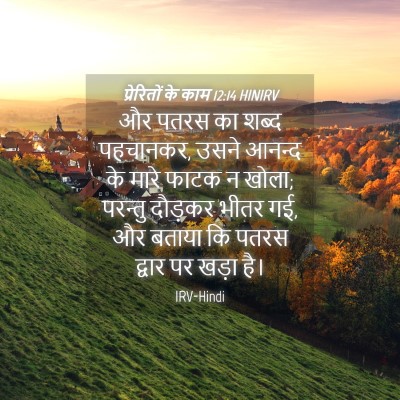 Picture 04 - प्रेरितों के काम 12:14 HINIRV - और पतरस का शब्द - Bible Verse Picture