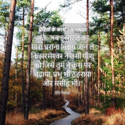 Picture 04 - प्रेरितों के काम 2:36 HINIRV - अतः अब इस्राएल का - Bible Verse Picture