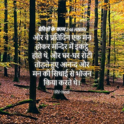 Picture 04 - प्रेरितों के काम 2:46 HINIRV - और वे प्रतिदिन एक - Bible Verse Picture