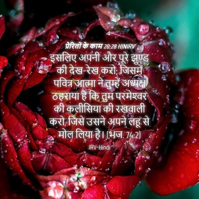 Picture 04 - प्रेरितों के काम 20:28 HINIRV - इसलिए अपनी और पूरे - Bible Verse Picture