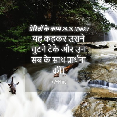 Picture 04 - प्रेरितों के काम 20:36 HINIRV - यह कहकर उसने घुटने - Bible Verse Picture