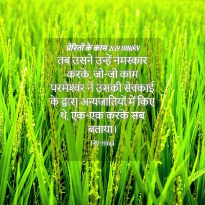 Picture 04 - प्रेरितों के काम 21:19 HINIRV - तब उसने उन्हें - Bible Verse Picture