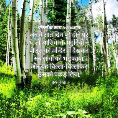 Picture 04 - प्रेरितों के काम 21:27 HINIRV - जब वे सात दिन पूरे - Bible Verse Picture