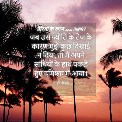 Picture 04 - प्रेरितों के काम 22:11 HINIRV - जब उस ज्योति के तेज - Bible Verse Picture