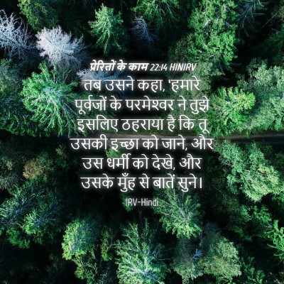 Picture 04 - प्रेरितों के काम 22:14 HINIRV - तब उसने कहा, ‘हमारे - Bible Verse Picture