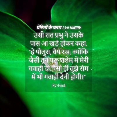 Picture 04 - प्रेरितों के काम 23:11 HINIRV - उसी रात प्रभु ने - Bible Verse Picture