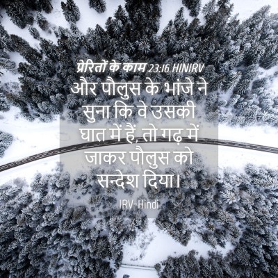 Picture 04 - प्रेरितों के काम 23:16 HINIRV - और पौलुस के भांजे - Bible Verse Picture