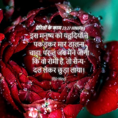 Picture 04 - प्रेरितों के काम 23:27 HINIRV - इस मनुष्य को - Bible Verse Picture