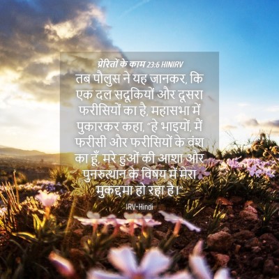 Picture 04 - प्रेरितों के काम 23:6 HINIRV - तब पौलुस ने यह - Bible Verse Picture