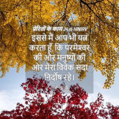 Picture 04 - प्रेरितों के काम 24:16 HINIRV - इससे मैं आप भी यत्न - Bible Verse Picture