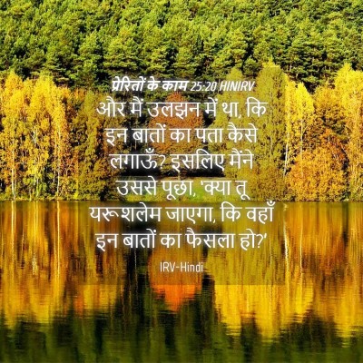 Picture 04 - प्रेरितों के काम 25:20 HINIRV - और मैं उलझन में था, - Bible Verse Picture